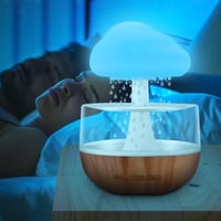 Rain Cloud Humidifier