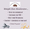 Weight Loss Accelerator - 6 Weeks!