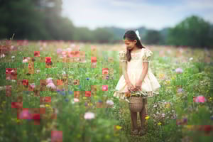 Image of wildflower sessions 2025 retainer fee