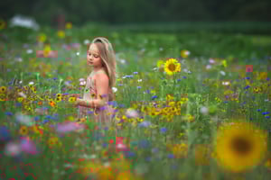 Image of wildflower sessions 2025 retainer fee