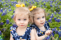 Image 2 of 2026 BLUEBONNET MINI SESSIONS - $125.00 RETAINER