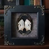 Real framed Mother of Pearl butterfly / Protogoniomorpha (Salamis) parhassus