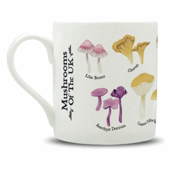 Mushroom Guide Bone China Mug - Nature's Delights Collection | Stoned  Affection