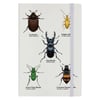 A Colony Of Beetles A5 Notebook - Nature's Delights Collection