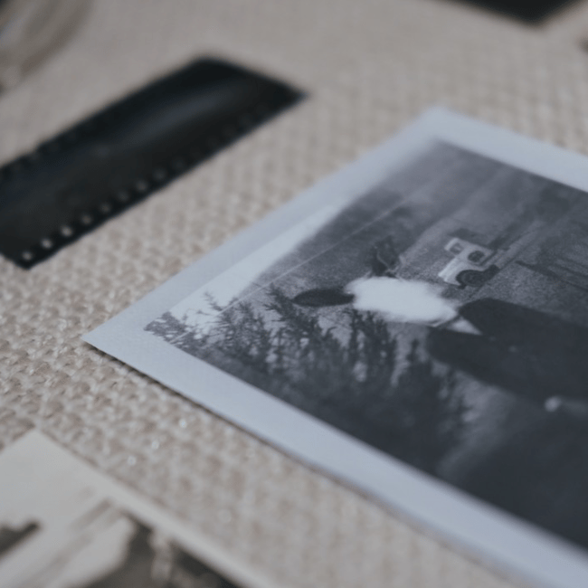 Pepo Galán - Family Harmony