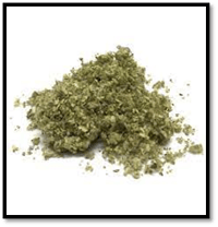 Mullein