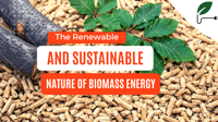 Biomass Energy 101