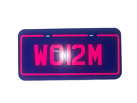 Image 2 of W0RM Plate