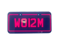 Image 1 of W0RM Plate