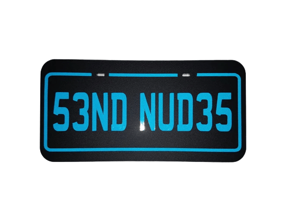 Image of SEND NUDES Plate