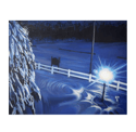 Light In A Dark Winter Print