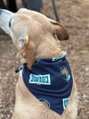 Cosmic Doggie Bandana