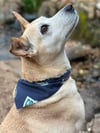 Cosmic Doggie Bandana