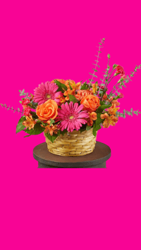 Arreglo de Flores con Rosas | Rose and Flower Arrangement 