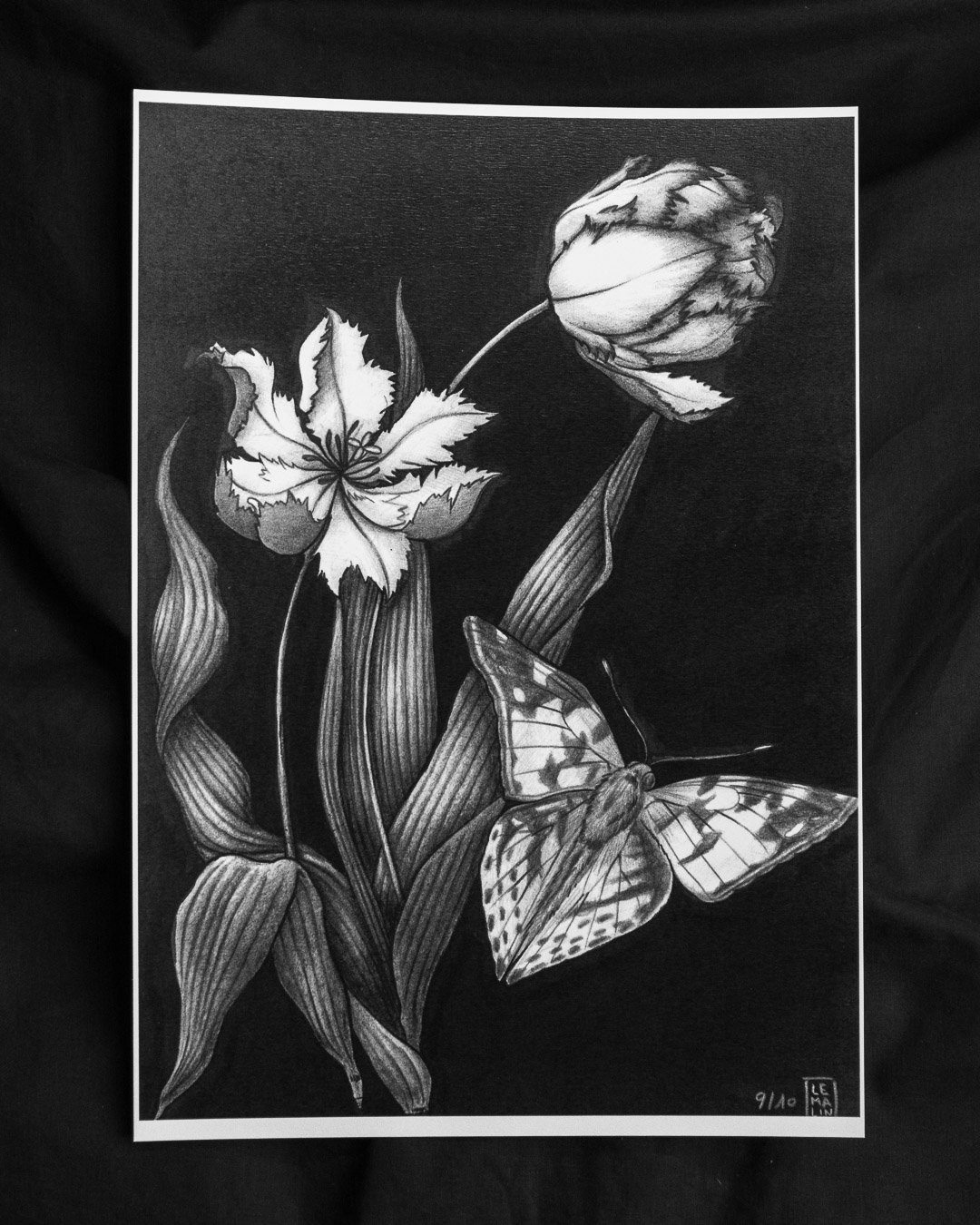 TULIPS & BUTTERFLY