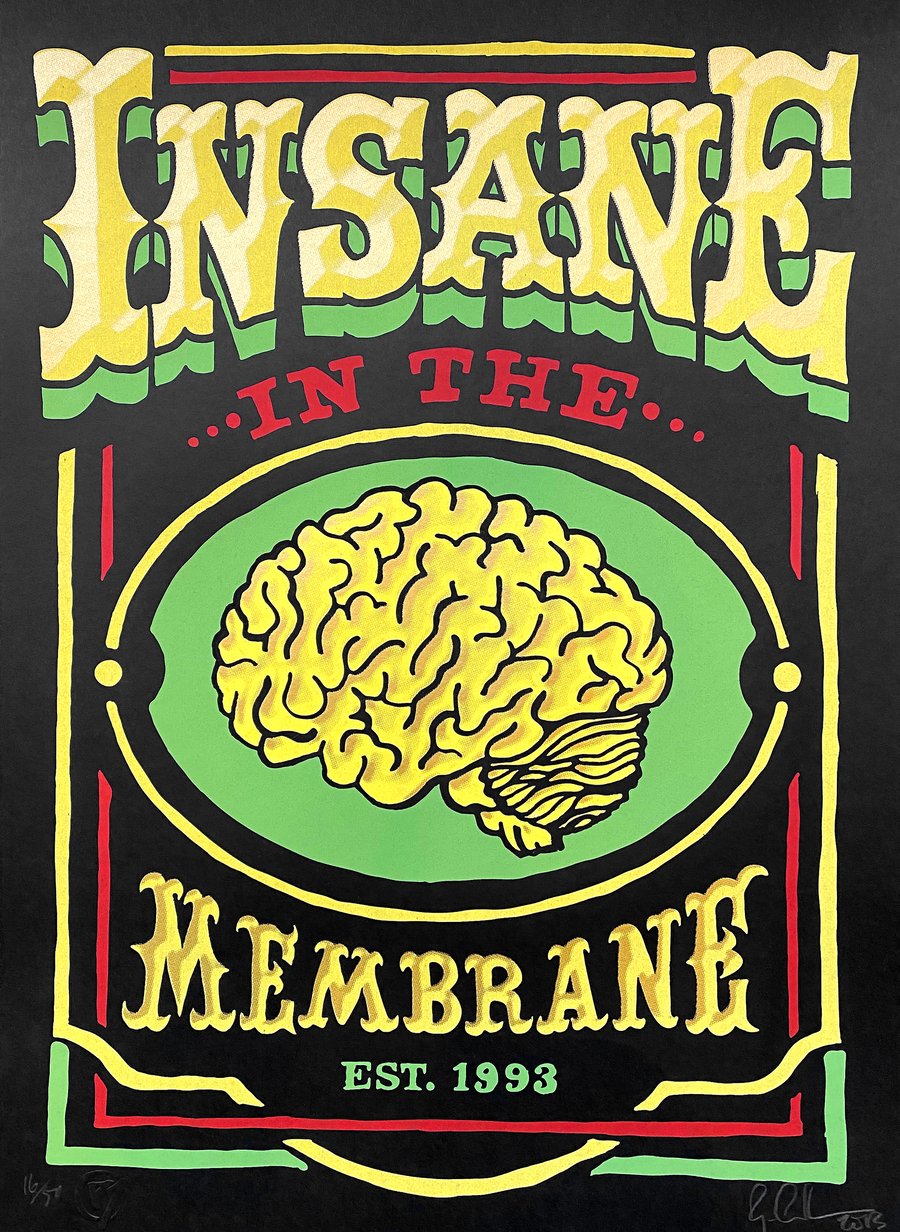 Image of 'INSANE IN THE MEMBRANE' by RYCA