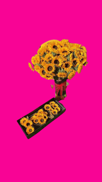 Sunflowers | Girasoles 