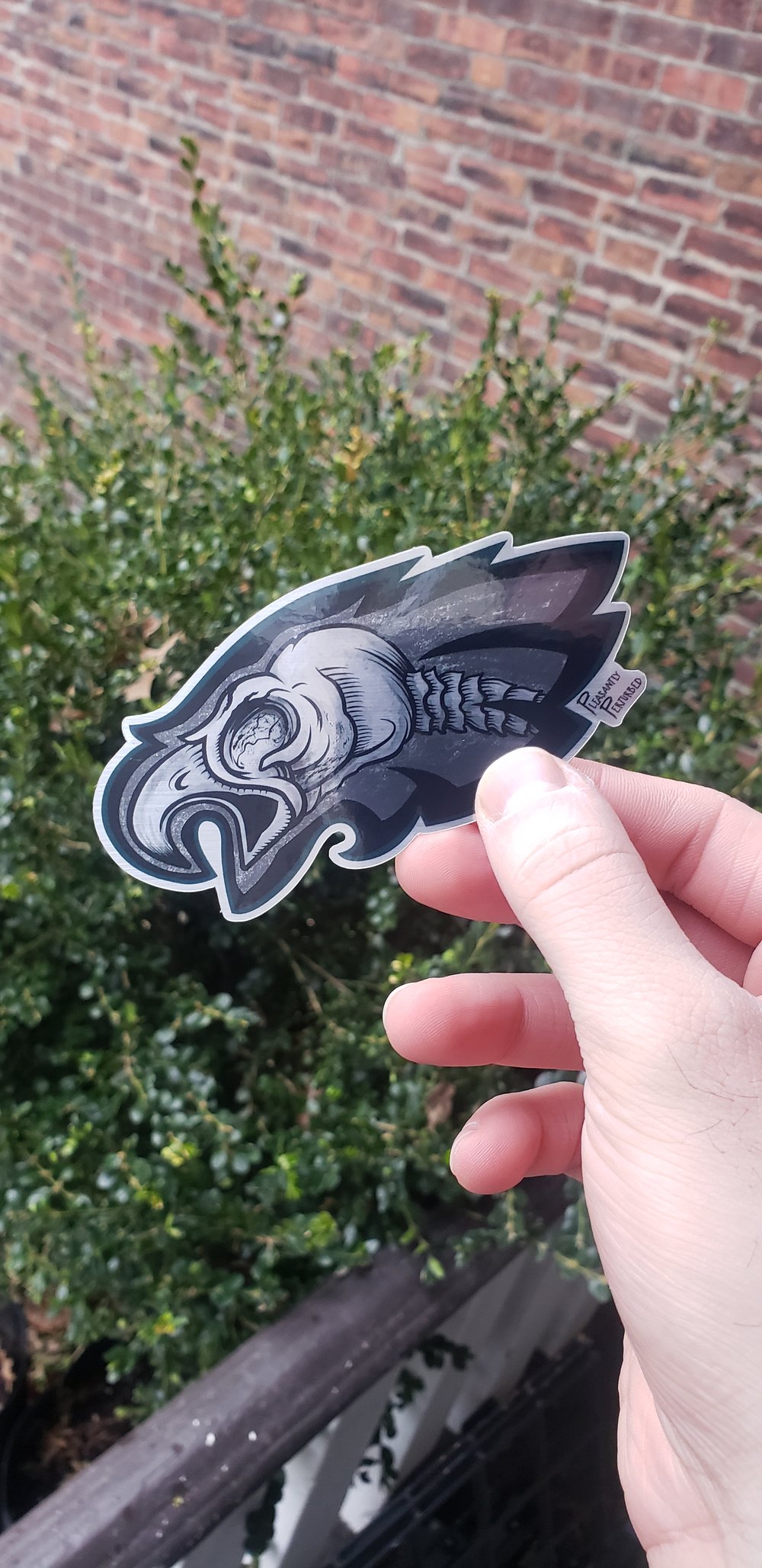 EAGLES X-Ray Sticker