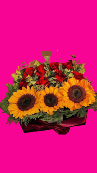 Arreglo de Tres Girasoles con Rosas | Arrangment of Sunflowers and Roses 