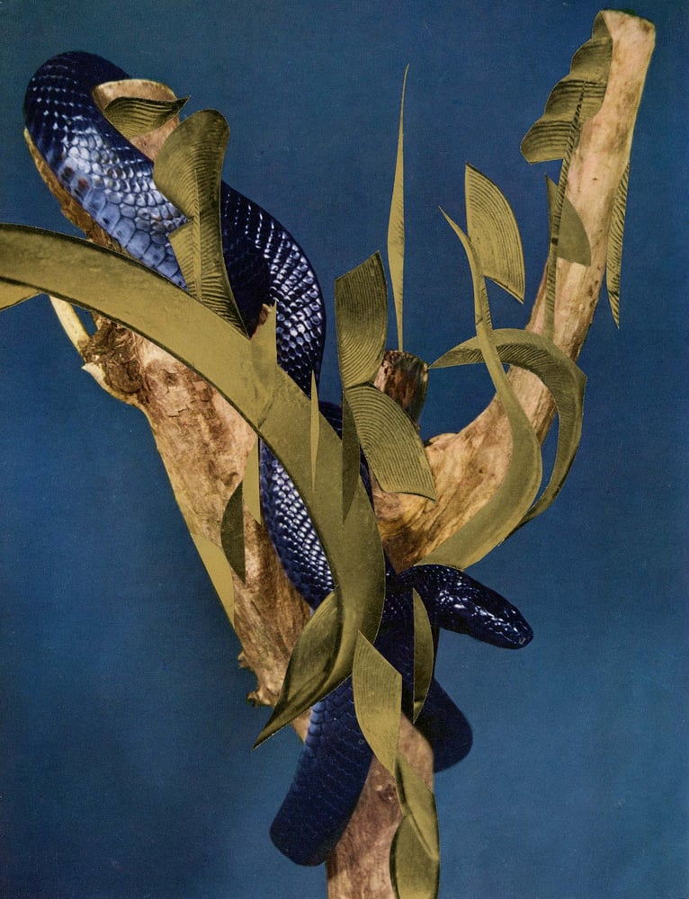 Image of Original collage / 2019