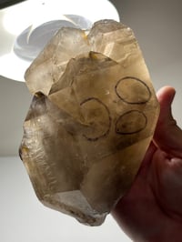 Image 13 of Smoky Quartz Enhydro Multi Terminated Crystal | Zambia #2966 