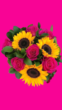 Ramo de Girasol con Rosas | Bouquet with Sunflowers and Roses