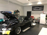 Image 4 of '03-'04 Mustang Mach 1 Banner