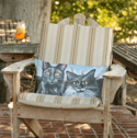 Cat Eyes Throw Pillow