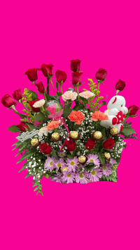 Hermoso Arreglo | Beautiful Arrangement 