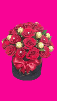 Red Roses | Rosas Rojas 