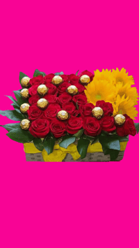 Rectangle Arrangment | Arreglo Rectangular