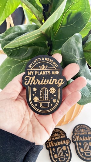 Image of “My life’s a mess but my plants are thriving” magnet 