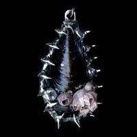 Image 1 of Deep Sea Mussel Pendant