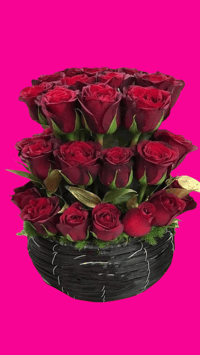 Red Roses Circle Tower | Torres de Rosas Rojas Circular