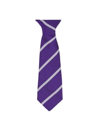 Daiglen School Clip-On Tie, 10", Silver/Purple