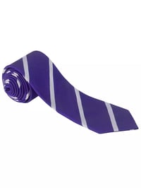 Daiglen School Striped Unisex Tie, Yr3-Yr6