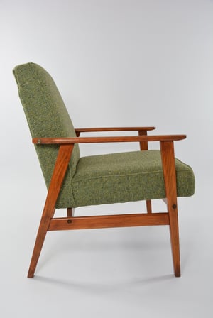 Image of Fauteuil FOX vert chiné