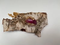 Image 2 of Ray of light, mørk pink