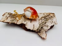 Image 1 of Ray of Light, orange