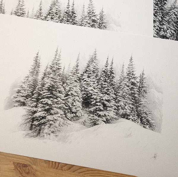 Image of Winter Trees