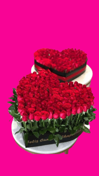 Heart Roses | Rosas de forma Corazon 