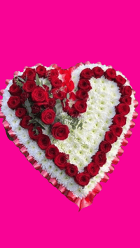 Heart White and Red | Rojo y Blanco Corazon 