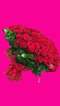 Large Bouquet | Grande Ramo 