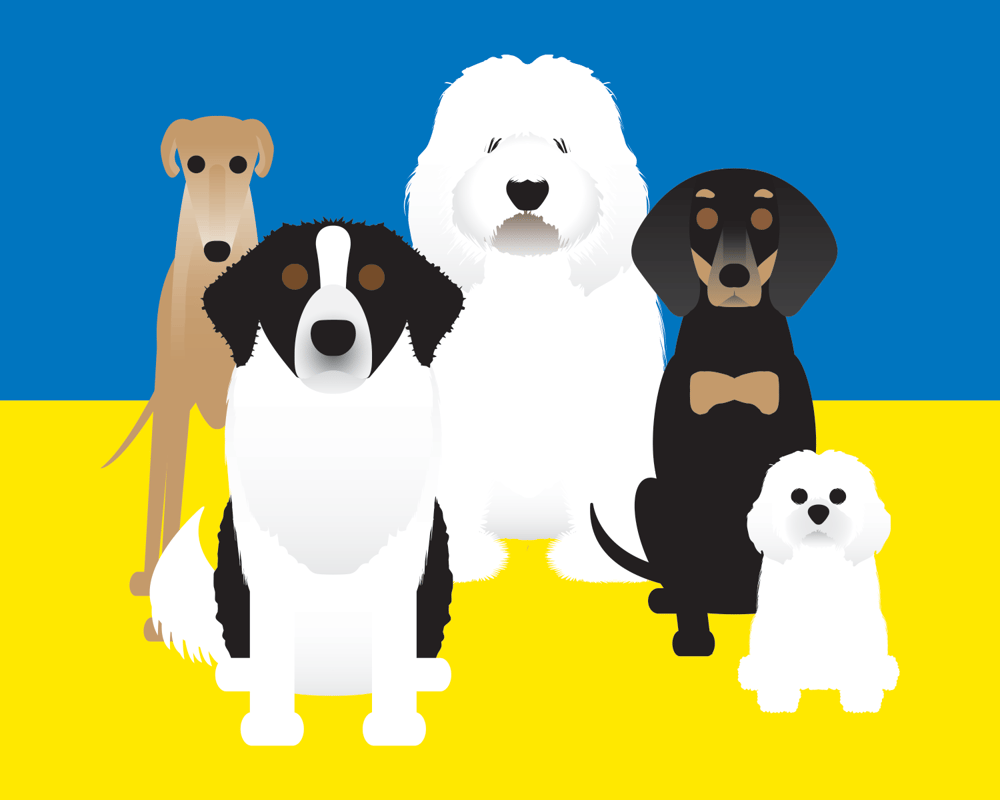 UKRANIAN FLAG DOGS