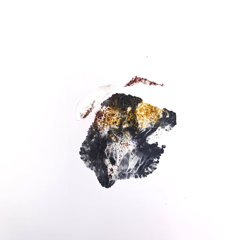 Image of Mára "Here Behold Your Own" Test Pressing LP