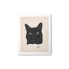 Black Cat