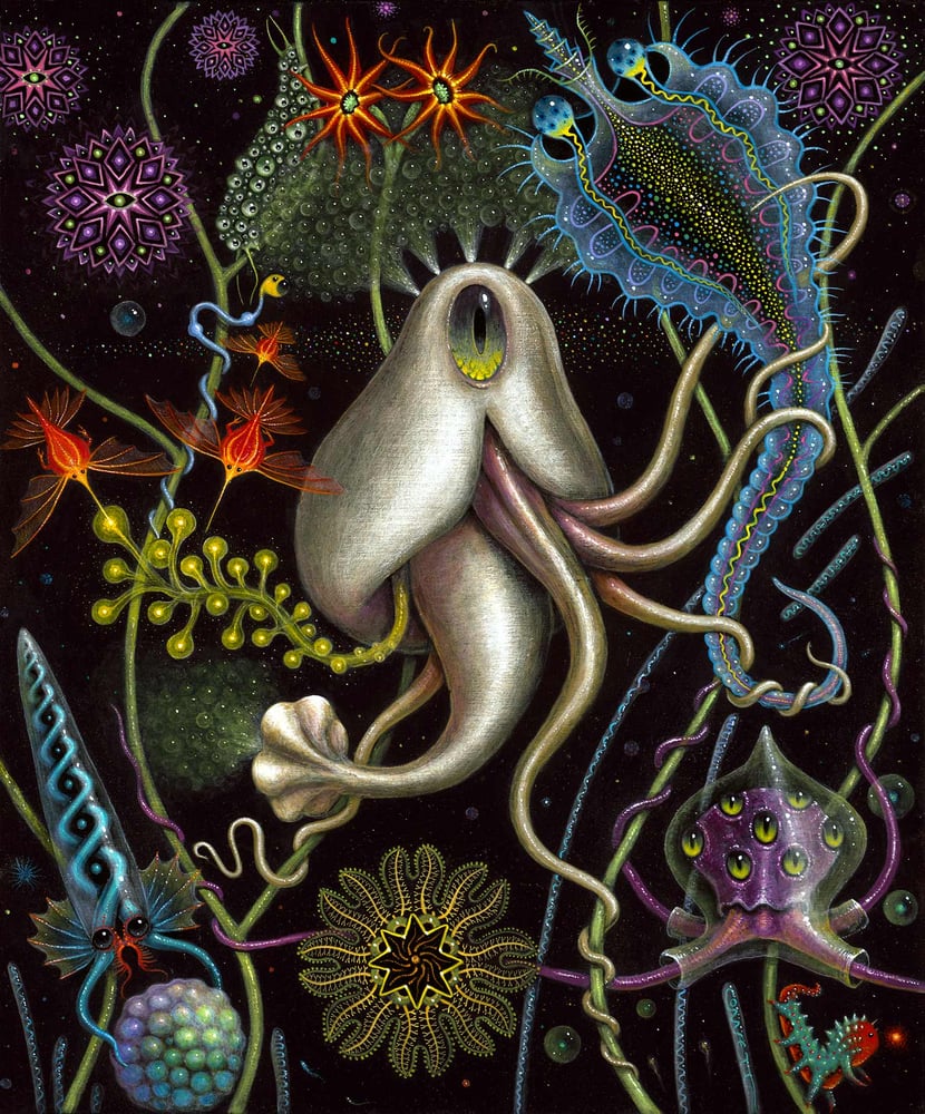Image of PLANKTONAUTS v7 • Signed Open Edition
