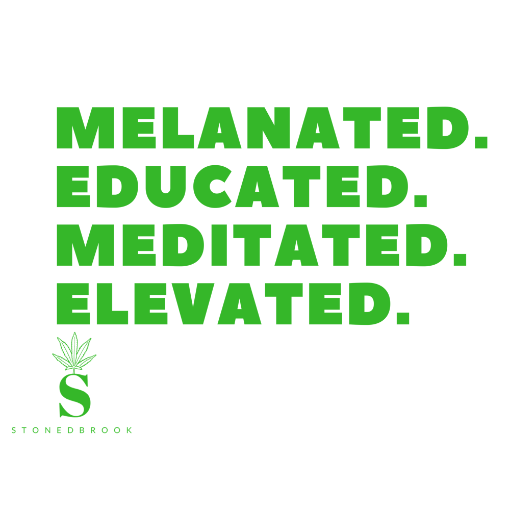 Image of MELANATED ELEVATED - Hoodie