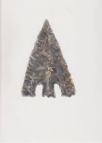 Image of Norfolk Flint Arrow Head, 2022. Original Drawing by Philippa Stewart