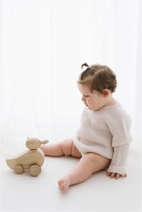 Image 4 of Sitter Session 